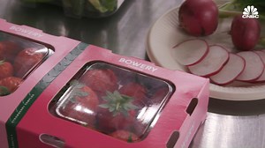 4.7K views · 112 reactions | Indoor vertical farms have been touted for their ability to grow leafy green vegetables like lettuce in warehouses year round. Bowery Farming, one of the U.S.'s largest vertical farm companies, says it can grow more than 5.5 tons of produce daily. And in a bid to expand its portfolio the company is adding a new crop to its roster — strawberries. https://cnb.cx/3JfHtdy | CNBC | Facebook