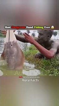 Hand Fishing Gone Crazy #shorts