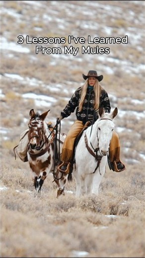 3 Lessons My Mules Have Taught Me… #horseriding