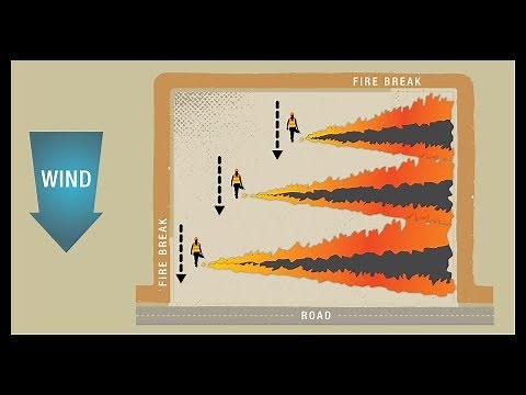 Prescribed Fire Ignition Techniques - Heading/Strip Head Fire