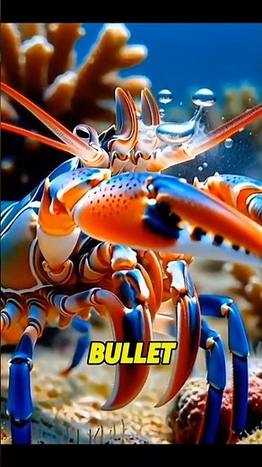 10 Ocean Animal Facts You Won’t Believe — Mind-Blowing Sea Secrets