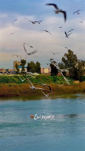 ‏#دويتو مع @﮼حْـِزنِ #تصويري