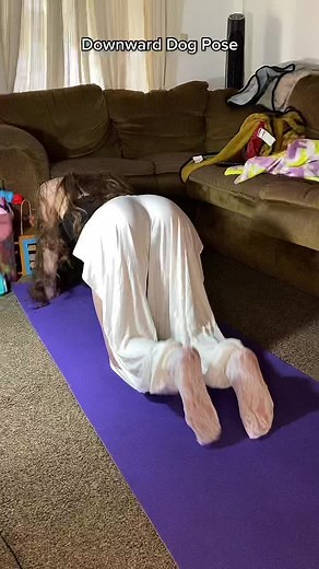 #yogapose #yoga #yogagirl #yogaflow #stretching #flexible #fypシ #flexibility