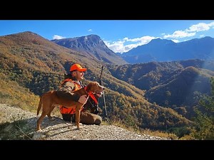 Lov na divlje svinje 2023/24