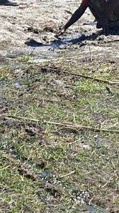 Tapped into the devine mystical Waters "Loleme lwa Noka" at Maun. Give this track a name. Mention your best vocalist. | Ancestral Rituals