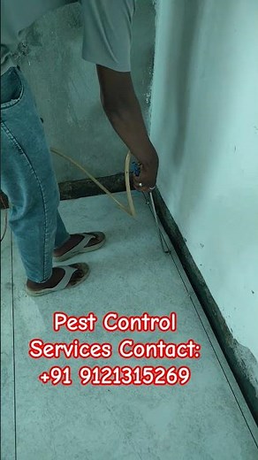 Termite Control Services #ad #pestcontrol #ytshorts