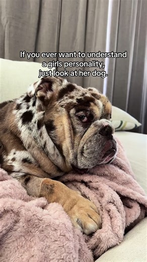 Understanding Girls Through Their Dogs