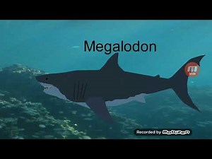 Megalodon vs pliosaurus