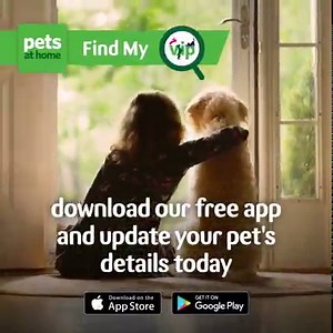 1.7K views · 25 reactions | Just like preparing for hot weather and sunshine, prepare for the season where pets go missing the most ☀️ Find My VIP, our free pet-finding service that's exclusively via the VIP club app, brings a community of pet parents together to give you the best chance of finding your pet. Download our free VIP club app today  https://fal.cn/3pUqW #NationalLostPetPreventionMonth | Pets UK | Facebook