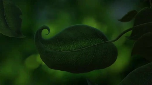 Discover the Magic of Tinker Bell