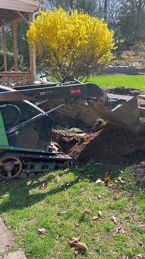 Creating a Beautiful Duck Pond For Your Backyard