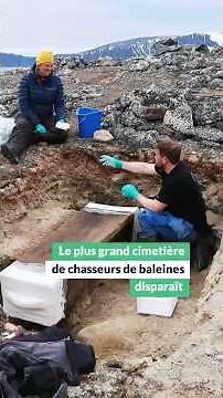 Le plus grand cimetière de chasseurs de baleines est-il en train de disparaitre ? #science