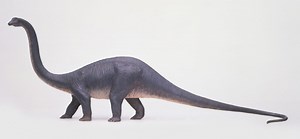 10 Things to Know About One of the Biggest Dinosaurs That Ever Lived