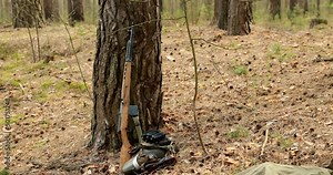 Soviet trophy svt rifle of World War II leaning against trunk of pine. german ammunition.