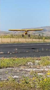 RC Piper Cub STOL #airplane #STOL #RC #RadioControl #PiperCub #taildragger #modelaviation #Hangar9