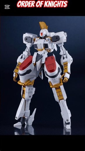 #moderoid #orderofknights #plasticmodelkit #modelkit
