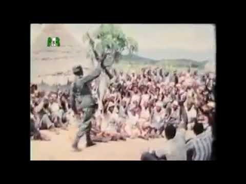 Freedom Fighters Zimbabwe