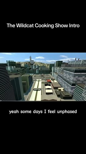 The Wildcat Cooking Show Intro 🔥 . . #vanosscrew #vanossgaming #wildcat #fyp #foryou #foryoupage #game #gaming #gamer #meme #funny #viral