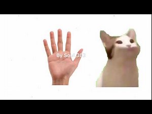 Pet Pet Pop Cat Meme