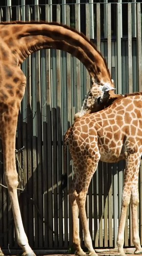 BRIGHT SIDE on TikTok