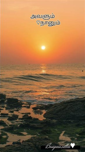 Avalum Nanum 🤎 song..... Tag your love ♡ 《 bougain.villea 》