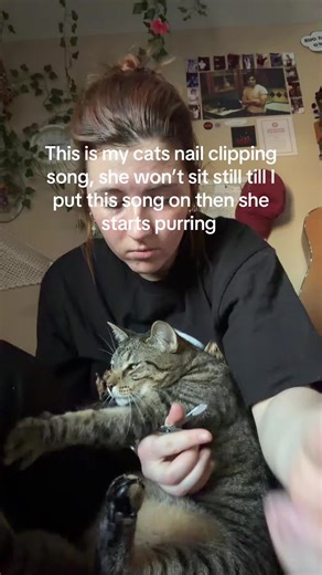 Cat Nail Clipping Made Easy with Purring Music