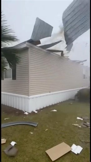 NATURE VS HUMANS 🌪️