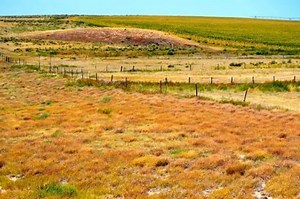 Cheyenne County, Colorado - Alchetron, the free social encyclopedia