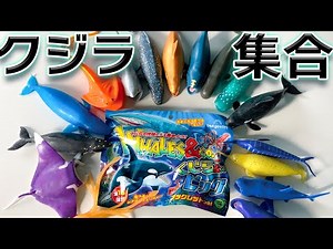 【レア出ろ！】アンドコ新作！クジラ&co.ビッグ【デアゴスティーニ】新発売の伸びるおもちゃレビュー