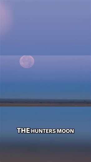 The hunter's moon is a powerful symbol with historical and cultural roots. Originating from Native American and Anglo-Saxon traditions, it signaled the season for hunting and preparing for winter. This theme of preparation remains its core symbol. #HuntersMoon #CelestialEvent #NativeAmerican #AngloSaxon #WinterPrep | The Universe Episodes | Facebook