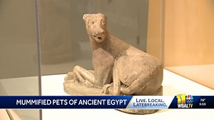 Exhibit explores tradition of mummified animals