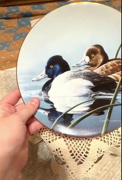 Lesser Scaup Collector Plate | 1990 W.S. George Duck Stamp Art - Etsy