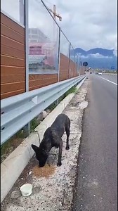 644K views · 1.4K reactions | Pothuajse para një jave redaksia jonë...