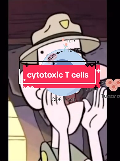 what's your favorite type of T cell? source footage: Peter MacCallum Cancer Centre CAR-T Cells: Engineered Cancer Killers, City of Hope CAR T Cell Therapy Explained (Animation) | City of Hope. review by Sun, L., Su, Y., Jiao, A. et al. T cells in health and disease. Signal transduction and targeted therapy 8, 235 (2023).
