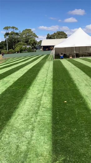 Josh Whitehouse on TikTok