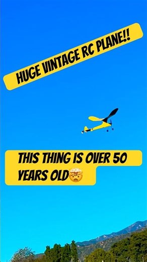 one of the flyers this Sunday came out and brought out this dinosaur! So cool! #rcplane #rcairplane