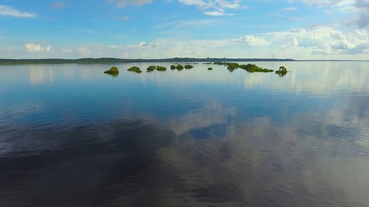 Stunning aerial transformations of the Amazon's flood