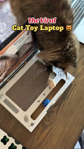 This cat laptop is a must have cat essential in our house 😻 #catlaptop #catscratcher #cattoys #catsoftiktok #cattok #cat #kitten #tuxedocat #cute #pet #fypp Cat laptop scratcher Cat laptop mimicking Cat laptops Cat laptop business Cat laptop meme Cat laptop video Cat laptop keyboard Cat laptop screen Cat on laptop trend Cat laptop mirroring Cat working on laptop