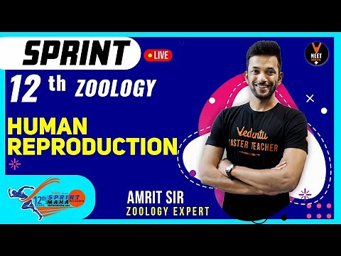 Human Reproduction part 2 | 12th Board Sprint Reloaded | Full Chapter Revision | Biology Class 12th