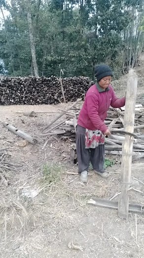 setuman rai on TikTok