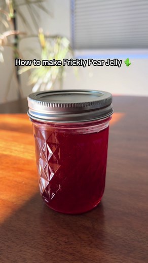 My process for making homemade Prickly Pear Jelly! 🌵 #pricklypearjelly #pricklypear #pricklypearcactus #jellymaking #desertrecipes #cactusfruit