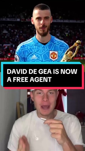 David De Gea was once the best goalkeeper in the world, he is now a free agent...❌🤔#degea #manchesterunited #freeagent #football #flashscore #soccer @dantalksfooty