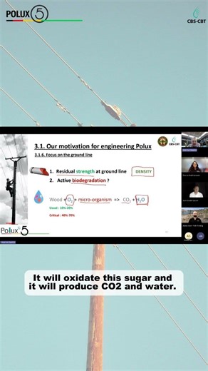 🪵 Is pole decay a defect?