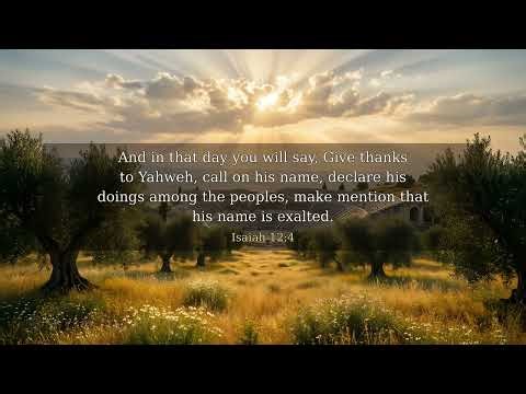 Isaiah Chapter 12 - UPDV Bible in 4K