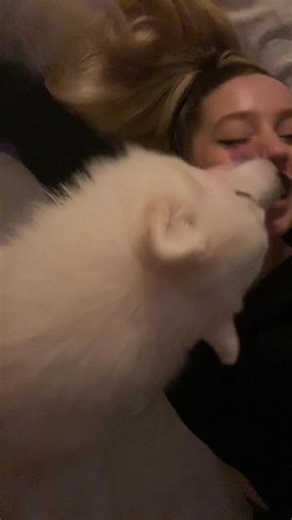 Affectionate Moments: Woman and Dog Bonding