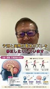 腕組みを反対にすると違和感！実は「小脳」と「大脳基底核」が関係？