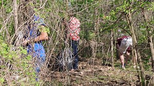 1.7K views · 50 reactions | Rogers New Technology HS students are participating in a "Week of Service" for our community! While freshman and sophomore students are focusing on the ACT Aspire state test, juniors and seniors are taking the opportunity to give back to the community during the school day! The City of Rogers #RPSshines | Rogers Public Schools | Facebook