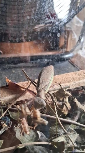 Healthy Foods to Eat