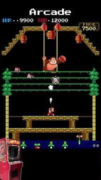Donkey Kong 3 Arcade