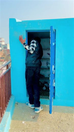 TCS_Pigeon★ (@talal__17)’s videos with original sound - TCS_Pigeon★